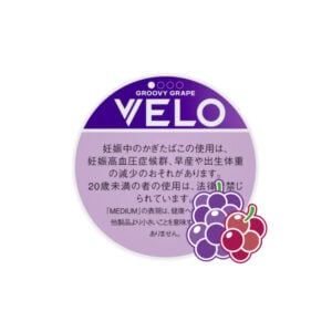 VELO Groovy Grape Medium 🍂 ‣ Worldwide Shipping 🚀